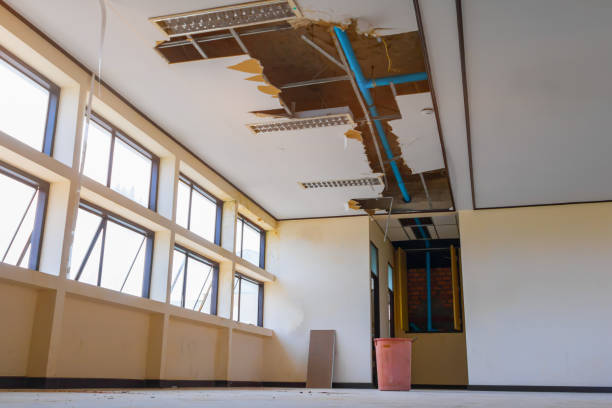 Best Mold removal after water damage  in Lawson, MO