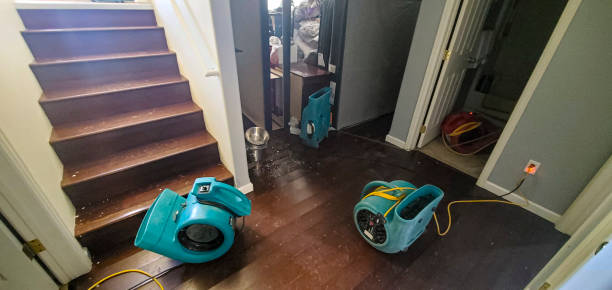 Best Water damage cleanup near me  in Lawson, MO