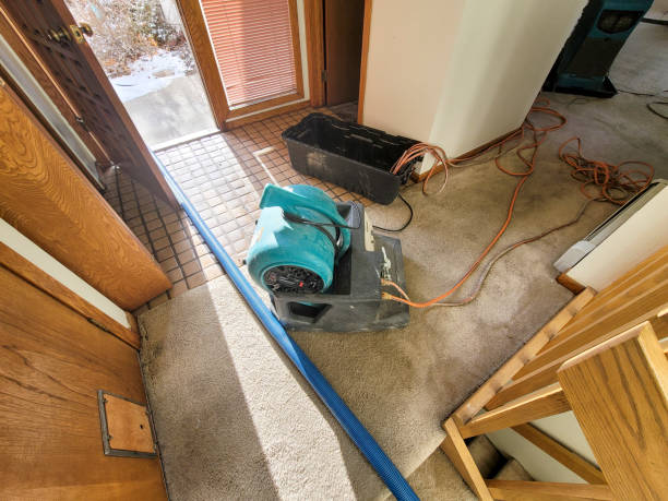 Best Water damage restoration near me  in Lawson, MO