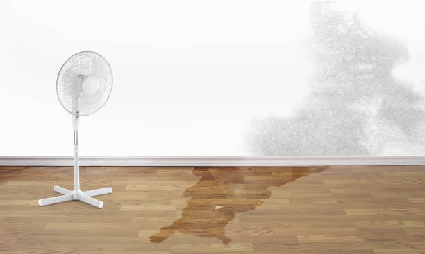 Best Water damage restoration near me  in Lawson, MO