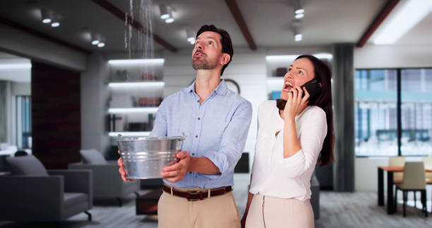 Best Professional water damage repair  in Lawson, MO